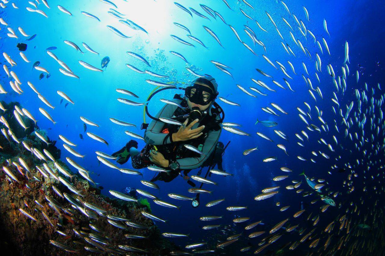 Marmaris Scuba Diving