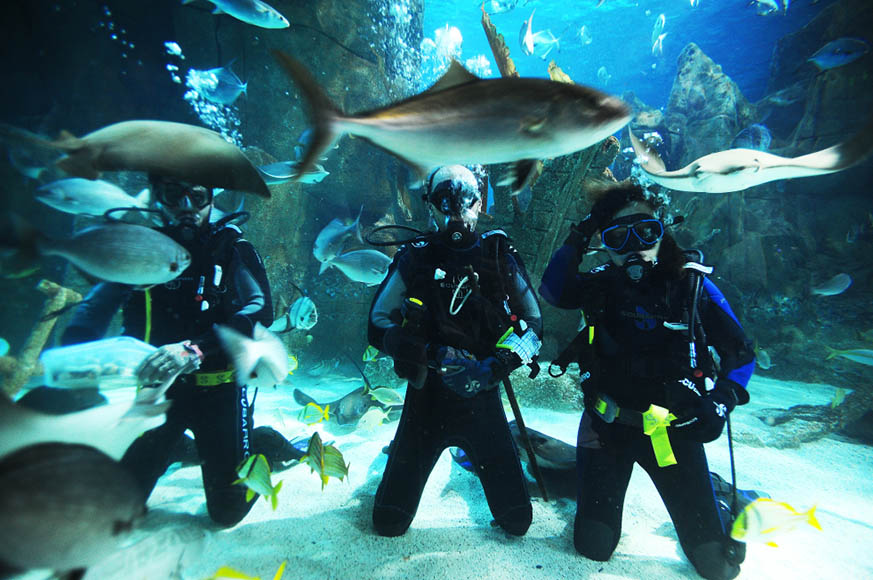 Marmaris Scuba Diving