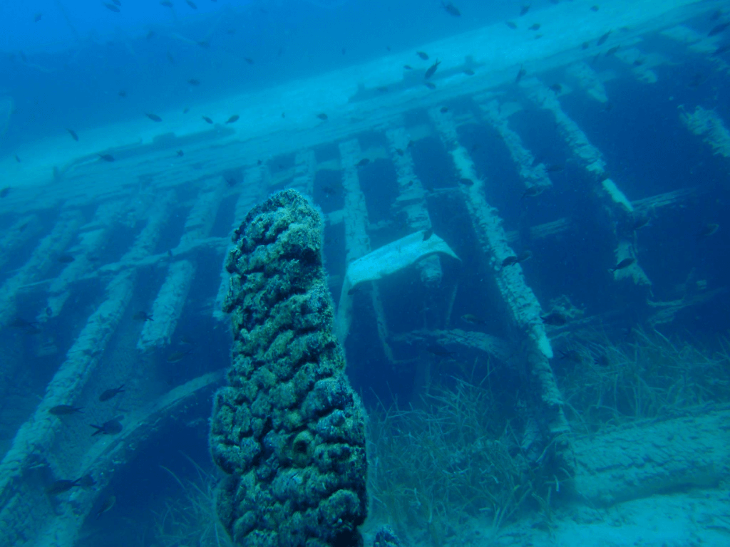 Marmaris Scuba Diving