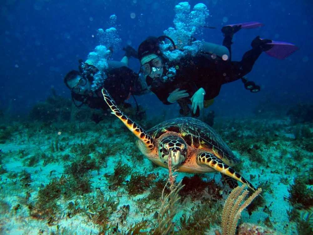 Marmaris Scuba Diving