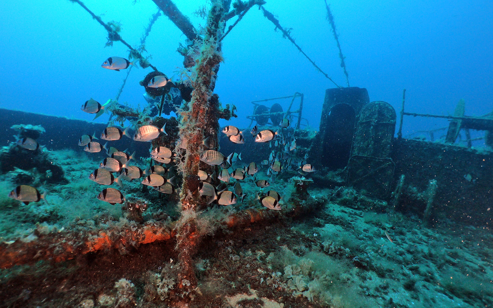 Marmaris Scuba Diving