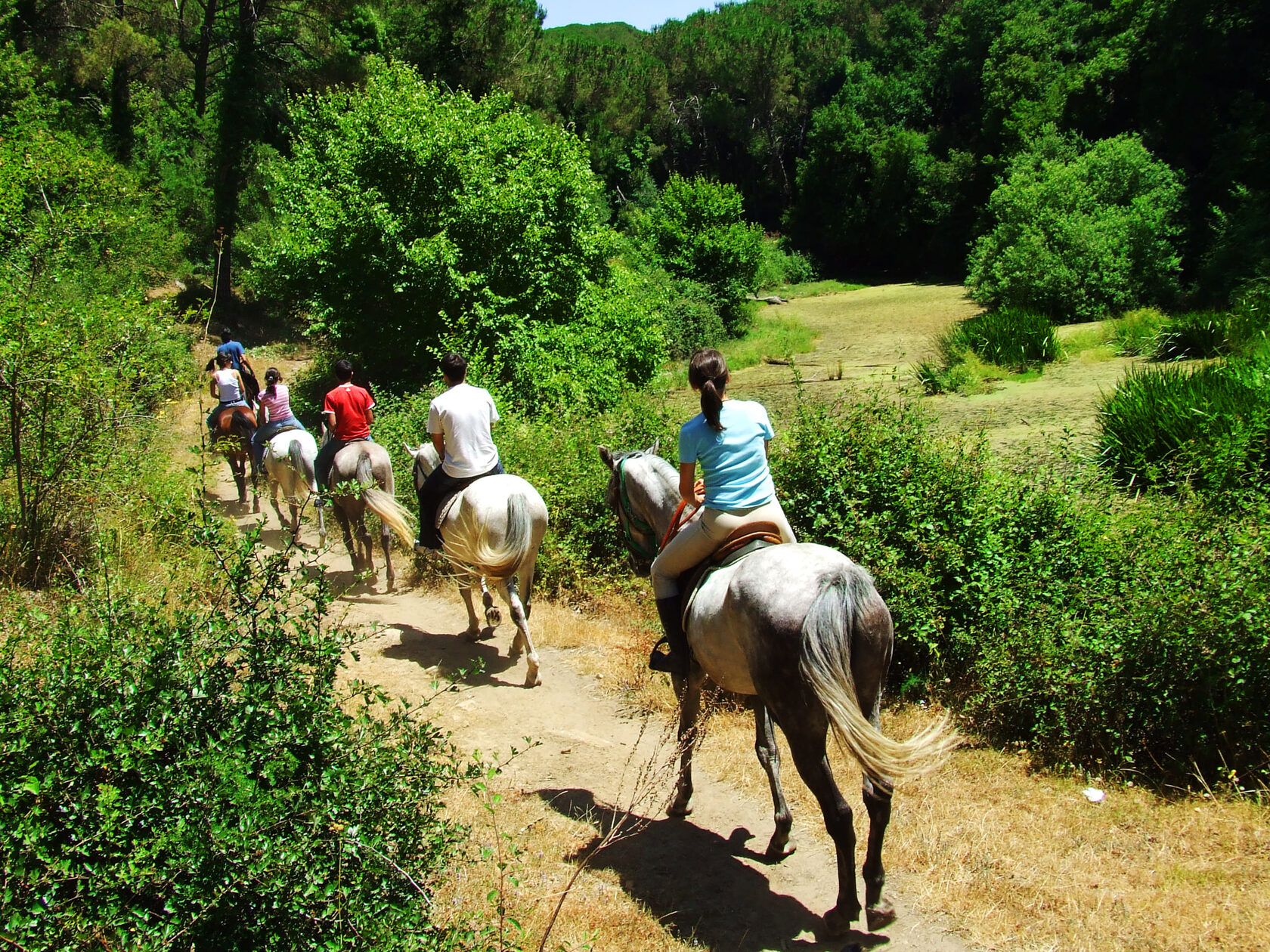 Marmaris Horse Safari