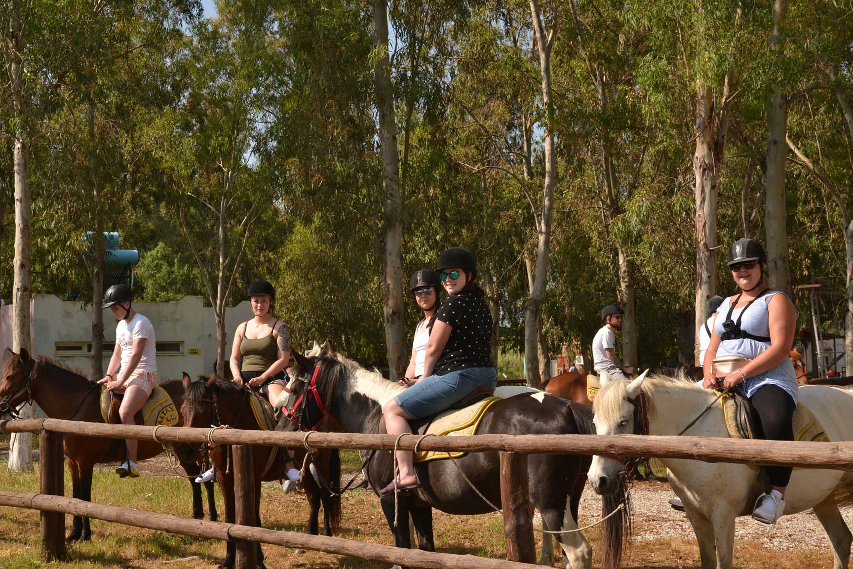 Marmaris Horse Safari