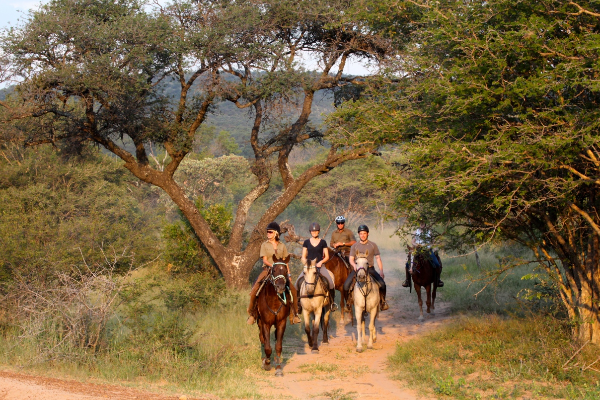 Marmaris Horse Safari